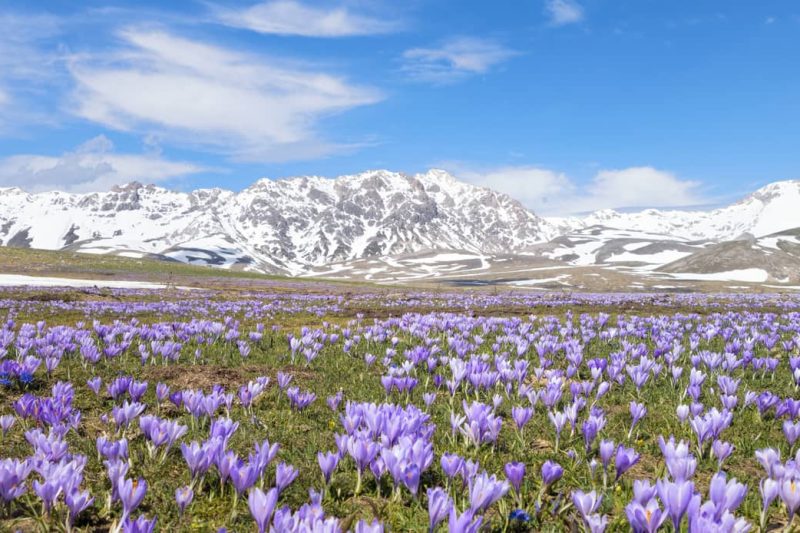 campo-imperatore