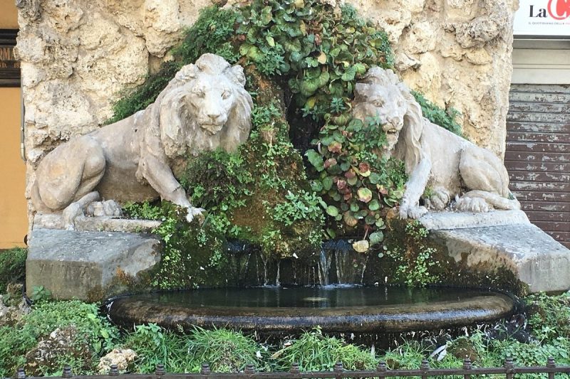 fontana-dei-due-leoni